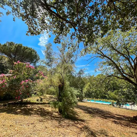 Les Champs D'hermier Avec Piscine * Carsac-Aillac